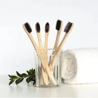 Organic Bamboo Toothbrush - Charcoal Activated Bristles - image 1